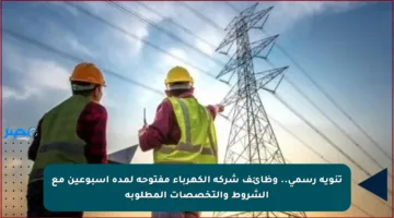 تنويه رسمي.. وظائف شركة الكهرباء مفتوحة لمدة أسبوعين مع الشروط والتخصصات المطلوبة